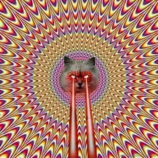 Illustration for article titled It's Like Taking Drugs and Looking at Cats